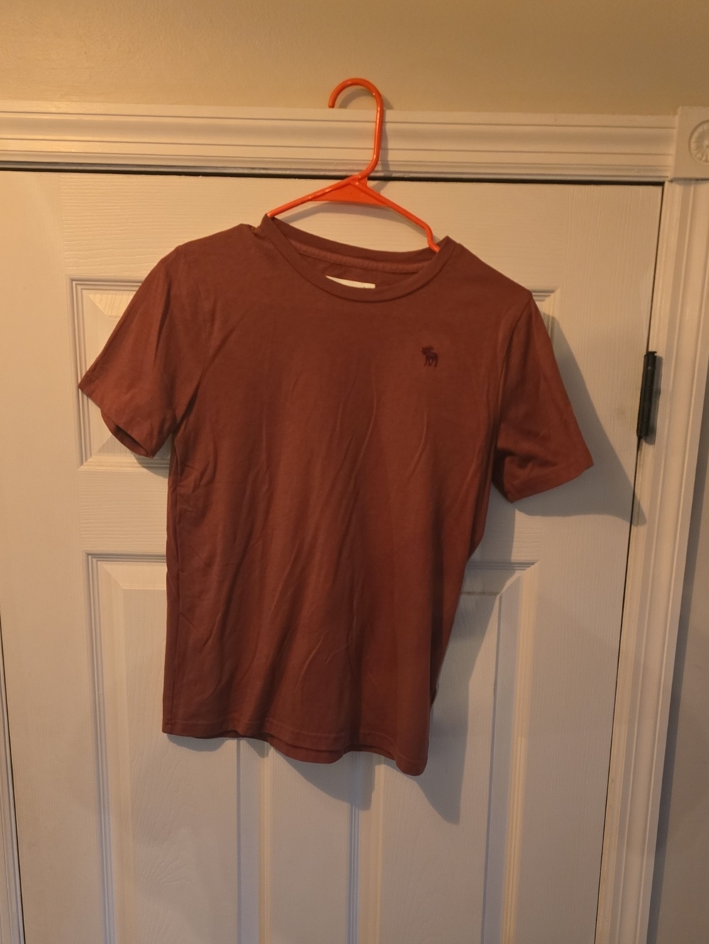 Abercrombie & Fitch Brown Logo Crew Neck Tee